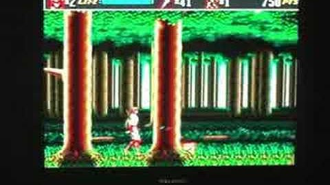 Sega Twin Pad Player Part 4 Plays Genesis Mega Drive Games. Comes with 20 Built In Games!