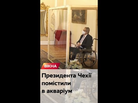 Video: Čehijas prezidents Milošs Zemans. Milošs Zemans: politiskā darbība