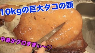 10kgの巨大タコの頭を切ったら中身がグロすぎたwww