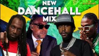 NEW DANCEHALL MIX 2025.VYBZ KARTEL.MAVADO.VARIAN DI-BEST. SKILLIBENG. RBMG.ALKALINE.POPCAAN. 450