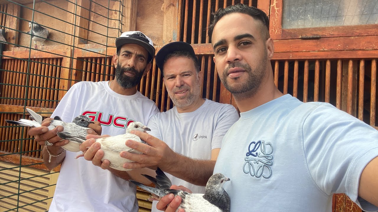 الحلقة 74 : سلسلة التعريف بالسلالات🥇🏆 مع الأبطال الكبار👈🏻 إخوان طاطو🧨💥212661435952+📞