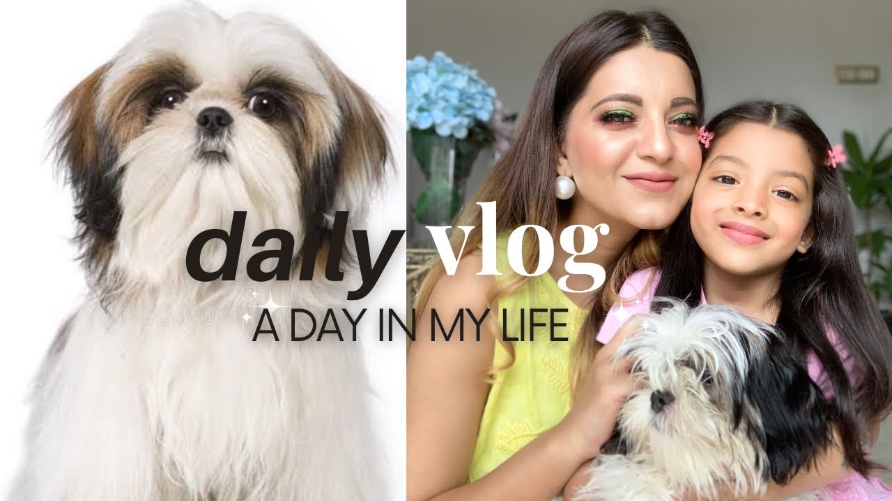 a-day-in-my-life-shih-tzu-puppy-daily-routine-first-hair-cut