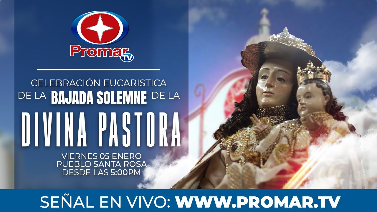 BAJADA SOLEMNE DE LA IMAGEN DE LA DIVINA PASTORA - VISITA 166
