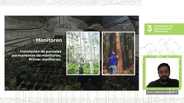 Instalación de la plantación forestal  _Editados Mod1  s2   parte 3