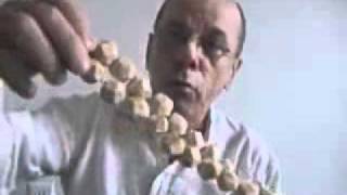 Download Lagu Le Japa.wmv MP3 Download Lagu Le Japa.wmv MP3