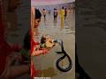 #viralvideos #chaatpuja