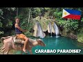 Riding WHITE CARABAO to PHILIPPINES Waterfall Paradise In DAVAO!