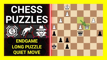 Chess Puzzles to Practice. Themes: Endgame, Long puzzle, Quiet move. Learn Chess