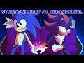 Sonadow: A Night At the Carnival 🎡💙 (comic dub)