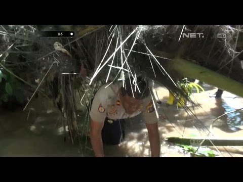 Penelusuran Pabrik Miras Cap Tikus Lewat Jalan Tikus - Penelusuran Pabrik Miras Cap Tikus Lewat Jalan Tikus -