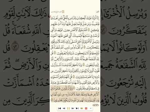 سورة الزمر للشيخ عبدالمحسن القاسم