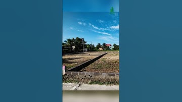 “Lướt sóng” lô đất quê 300m2, nhà đầu tư đã lãi ngay hơn 1 tỷ đồng chỉ sau 5 ngày đặt cọc “Sợ chủ ti