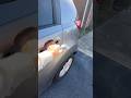 KIA Anti theft door handle