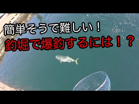 じゃ の ひれ 釣り堀 攻略