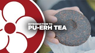 What is PUERH TEA?