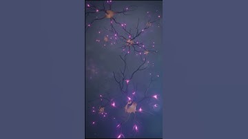 How to code Neural Networks - Activation Functions - The Basics