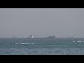 War in Iran: US tries to open the Strait of Hormuz and a ceasefire wavers