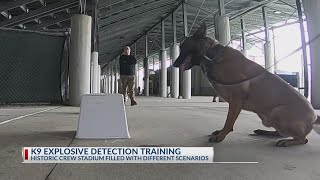 Training K9s to serve the public