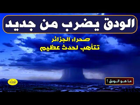 الودق يضرب من جديد صحراء الجزائر تتأهب لحدث عظيم