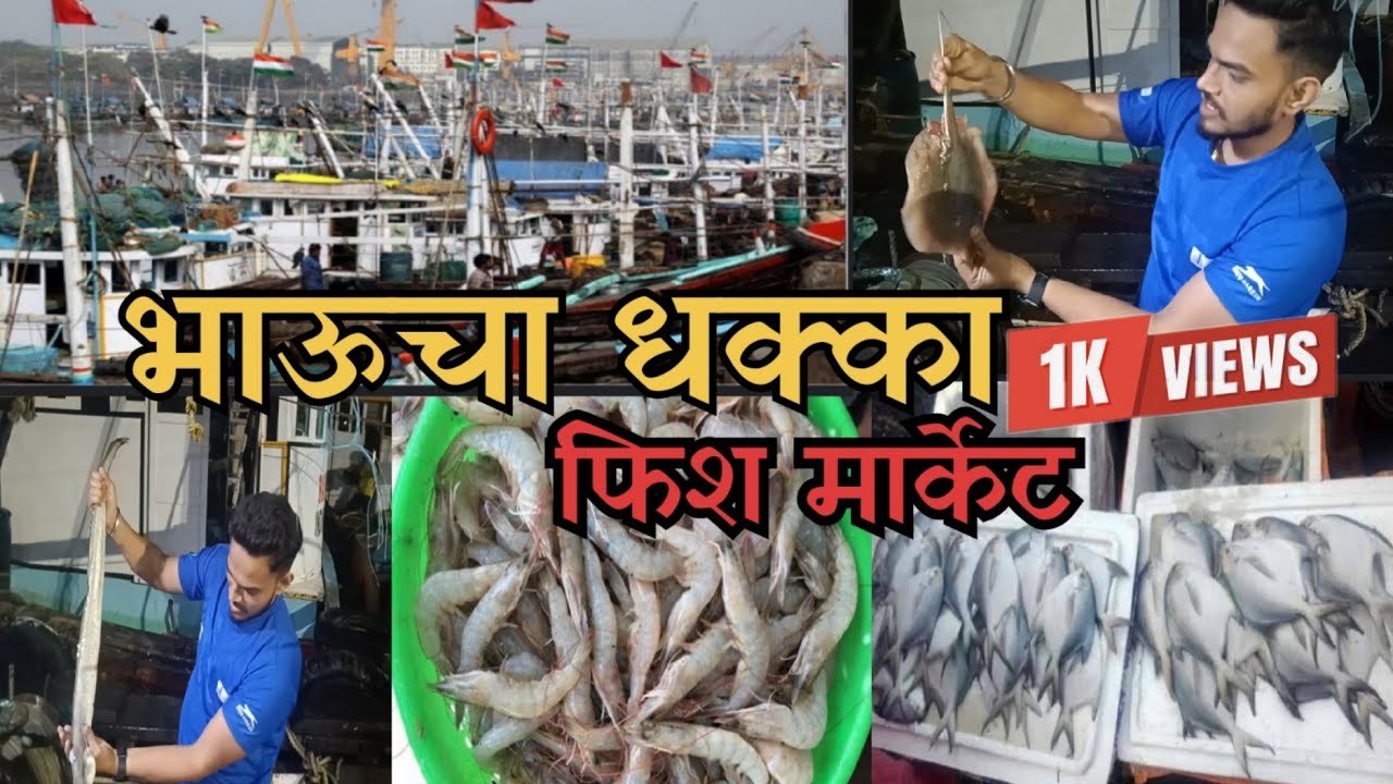 Bhaucha Dhakka Machhi Market Mumbai Biggest Wholesale Fish Market