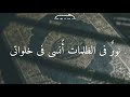 نور ملأ القلب ففاض بحب كتاب الله نور ملأ القلب ففاض بحب كتاب الله