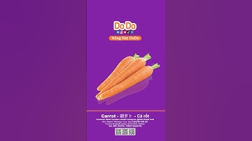 Thu hoạch cà rốt- 胡萝卜收获- Carrot harvesting  #dodofood #dodoglobal #carrot