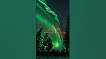 تلاوة خاشعة ارح قلبك بذكر الله رمضان 2023 حالات واتساب قرآن كريم #قرآن #قرآن_ويب