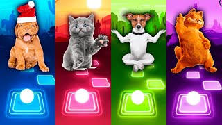 🐶⚡🐱 Dog - Cat - Puppy - Garfield || Tiles Hop EDM Rush!