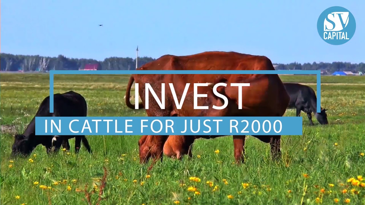 Livestock Investments