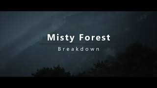 Misty Forest in Houdini & Unreal Engine || Breakdown
