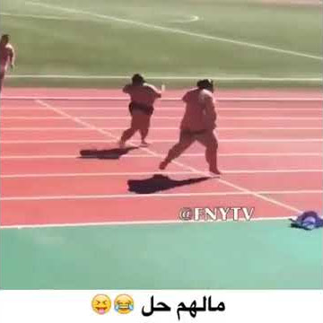 Video lucu Adu lari SUMO tercepat