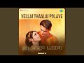 Vellai thaalai polave  sleep lofi