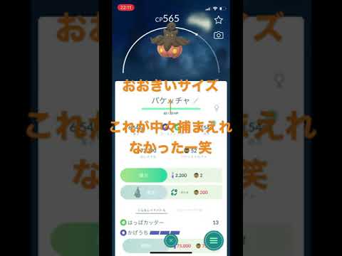 ソードシールド バケッチャ とくだいサイズ の種族値 わざ 特性など能力と入手方法 ポケモン剣盾 攻略大百科