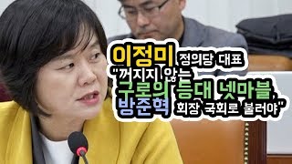 이정미 정의당 대표 