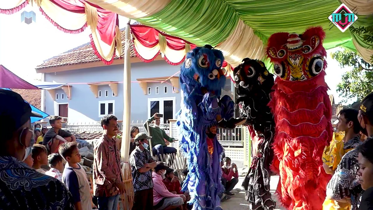 Simalakama | Atraksi Barongsai - Burok Mjm Live Kalibuntu 09-09-2021