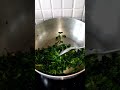 Methi Ka Saag Recipe Easy Sabji Recipe