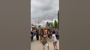 Jaran goyang #shorts #viral #shortvideo