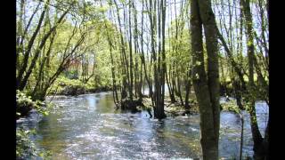 STRING QUARTET nº13 en A menor   ROSAMUNDE F  SCHUBERT   Andante