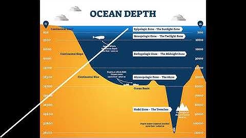 CC Cycle 1 Science Week 19 Ocean Zones