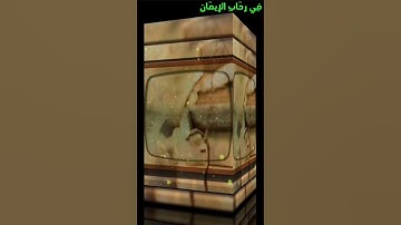 آيات من الذكر الحكيم من سورة فصلت من الآية ٣٣الي٣٥