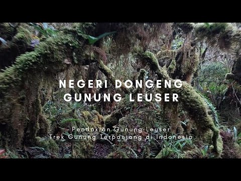 Video: Taman Negeri Gunung Diablo: Panduan Lengkap