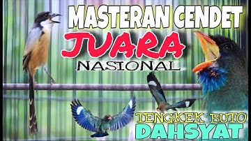 MASTERAN CENDET JUARA FULL TENGKEK BUTO WERKUDORO KUMPULAN MATERI MEWAH TEMBAKAN PANJANG²