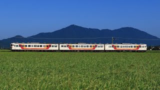 2020/8/19(水)  越後線129M 普通 吉田 115系新ﾆｲN33編成