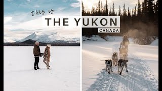 EXPLORING THE YUKON IN WINTER | DOG SLEDDING, AURORA HUNTING &amp; UNREAL LANDSCAPES