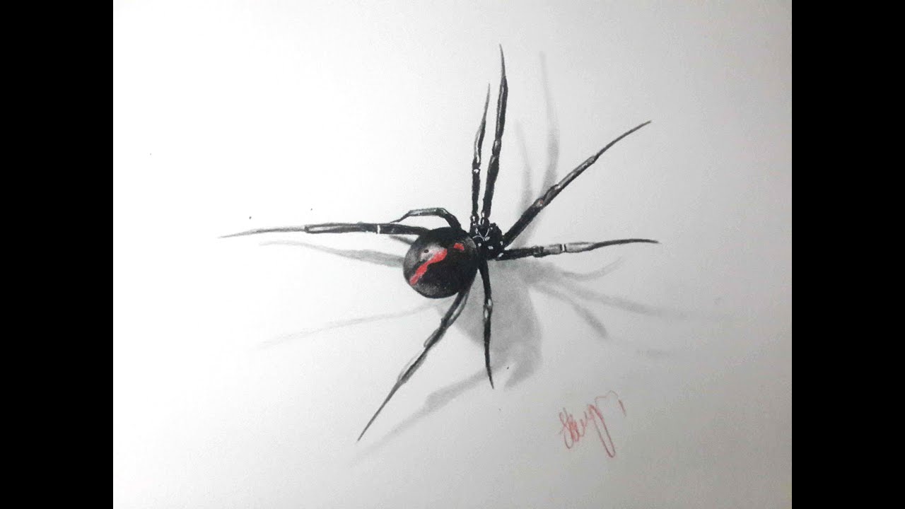 Great and scary 3D black widow Style Realistic Color Black Tags Best  3D Amazing Scary Great  3d spider tattoo Spider drawing Spider tattoo