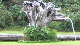 Till A Tear Become A Rose--Lloyd Snow