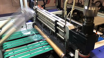 WT-650 Wicket Machine for CPP Bread Bags to up 330 cpm/minute