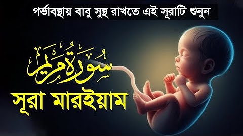 সূরা মারইয়াম (سورة مريم) -  হৃদয় স্পর্শী কুরআন  তেলাওয়াত┇An Nafee Presents
