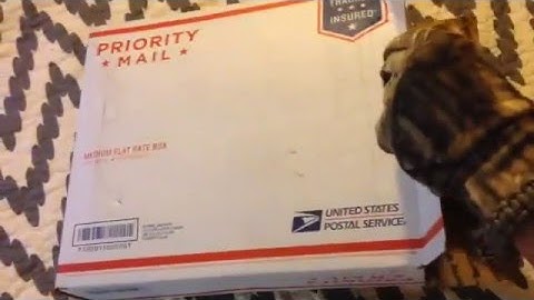 RGH/JTAG Unboxing Video by @Specialeditionkush - Sharky