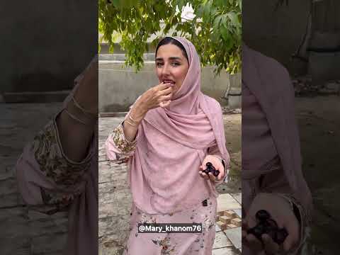 ميوه جم ياحمبو شماچي بهش ميگيد